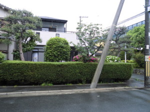 CIMG1229