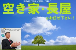 草原と木と虹
