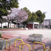 image9