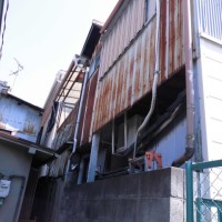 矢田うしろ