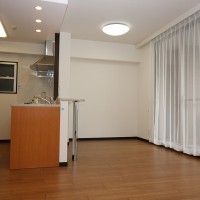 LDK