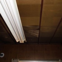 amamori