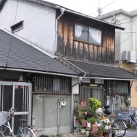 akiya3