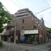 gai