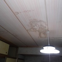 amamori2