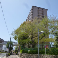 gai
