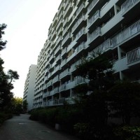 gai
