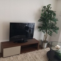 l3