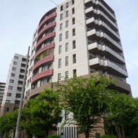 gai