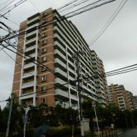 gai