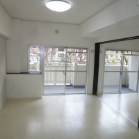 LDK