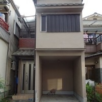 gai