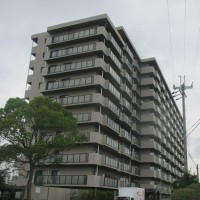 gai
