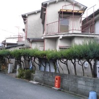 gai2