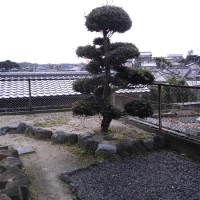 niwa2