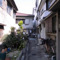 oriono2