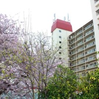gai