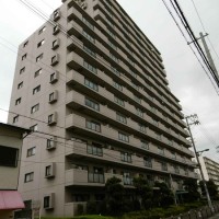 gai