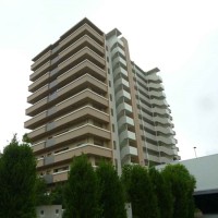 gai