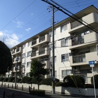 gai