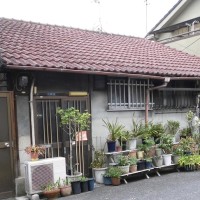 akiya6