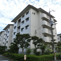 gai