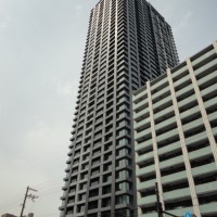 gai