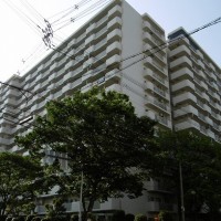 gai