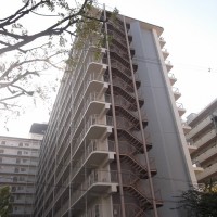 gai