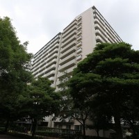 gai