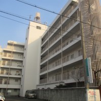 gai