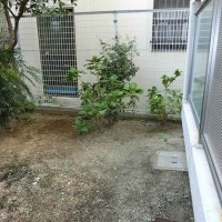 niwa