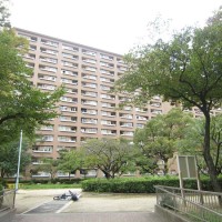 gai