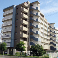 gai
