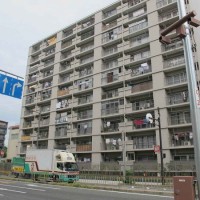 gai