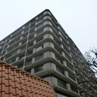 gai