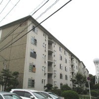 gai