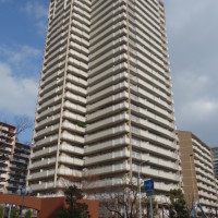 gai