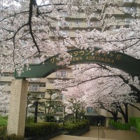 gai2