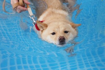 もうすぐ1歳