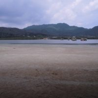 長屋売却査定の話・・その8『ひとり暮らし』