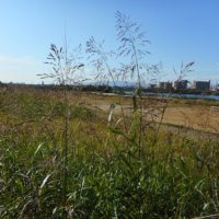 土地を更地にして返却？