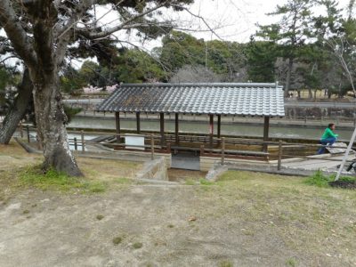 うまく不動産会社をやる人？