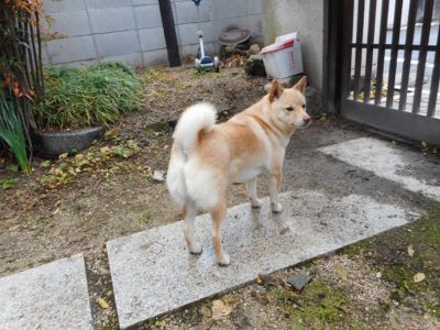 あぁ某信用金庫