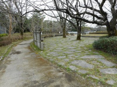 相続登記義務化が可決されましたね。