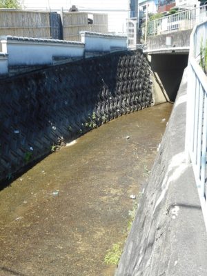 1間半間口(約2.7ｍ)の新築？