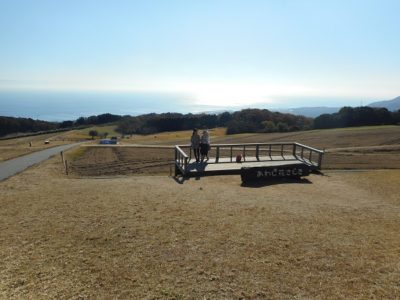 ペットと住める家