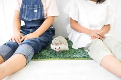 なぜそのタイミングで家を売る？