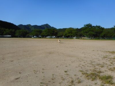 物件状況の告知