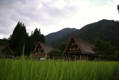 大阪に連れて帰りたくない。